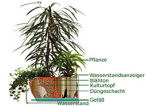 Systemquerschnitt mit Blähton Systemquerschnitt mit Blähton